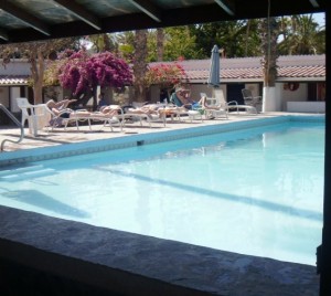 This was a great pool day, 30C in the sun!