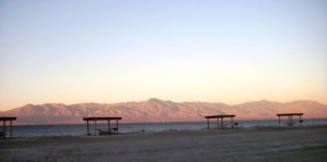 Looking west across the Sea