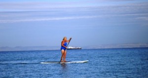 Go Lisa Go!