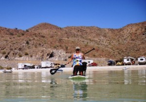 Lisa & Jitterbug on the SUP