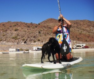 Jitterbug loves the water