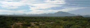 Baja is green