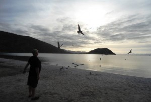 Fred with the Gulls