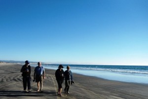 Everyone enjoys the beach