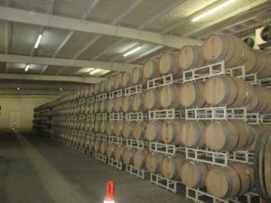 IMG_0441