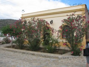 A cute remodelled home in EL Triunfo
