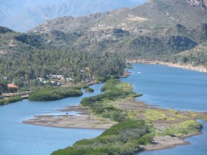 view from the lighthouse in Mulege, a date palm oasis