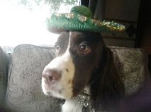 Hola Amigos