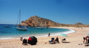 The gang enjoyed their swim & snorkel