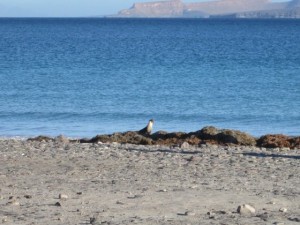 IMG_0955