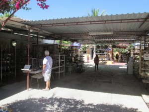 IMG_1011