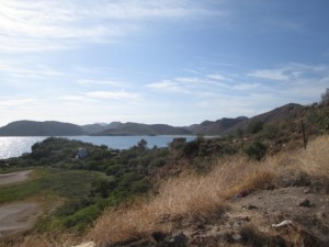 Sea of Cortez in the background. A short drive today takes us to Mulege, a date palm oasis situated on the Sea of Cortez and the mouth of the Mulege River.  Lots of road construction and detours seemed to slow our driving time but we still arrived around 12 noon.   