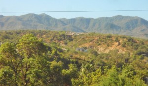Odile brought water to Baja, this looks more like a jungle