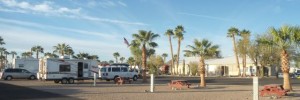 Holiday Palm RV Park in Quartzite
