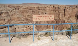 Lisa did not like this sign
