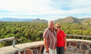 Mulege Palms