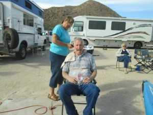 George enjoys a good beach haircut from Bev.