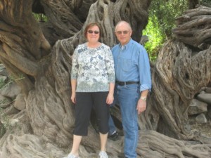 Very seriously under the great olive tree. Mission San Javier.