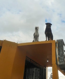Only in Mexico