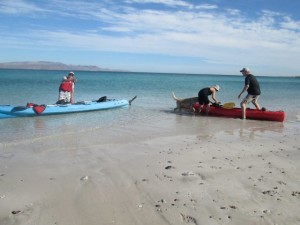 It's blue against red in the great kayak race!