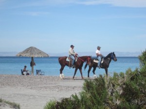 Tecolote beach patrol.