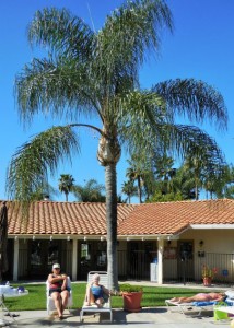 Lisa and her Mom Sylvia Poolside