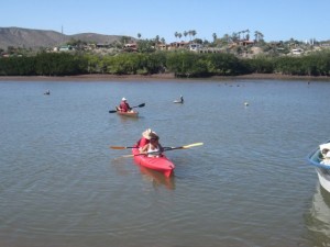 Mulege Boat race.