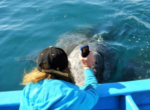 Katherine Touches A Whale