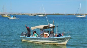 Whale Shark Watchers head out