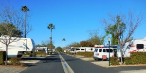 Over 1000 RV Sites
