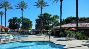 Sylvia likes the pool