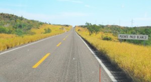 Baja is so green with all the rain