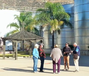 LA Cetto Wine Tour and Tasting the last excursion