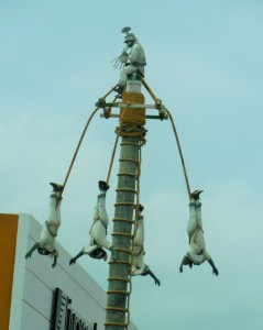 High Flying in Veracruz