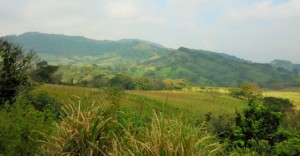 Hwy 180 Scenery