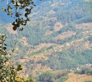 Quite a climb on our drive to Oaxaca