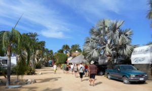 The gang enjoyed their walkabout at the East Cape RV Park Resort