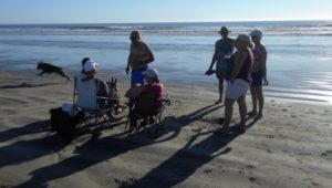 On the beach at Fidel's