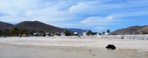 Yes, Baja Sunrise has a great view of the Sea of Cortez