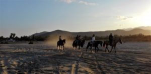 We were on he beach with horses in Los Barriles
